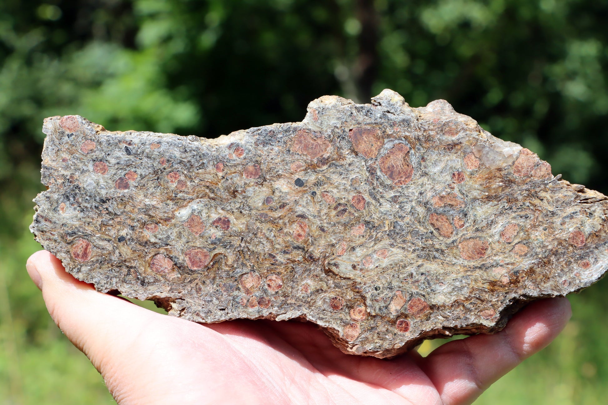 Svojanovit se staurolitem a almandinem - Supreme Panthers