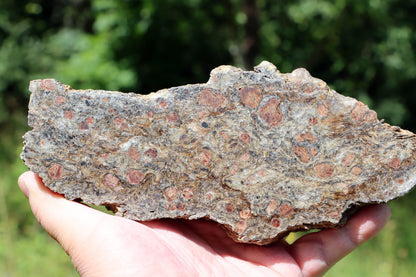 Svojanovit se staurolitem a almandinem - Supreme Panthers