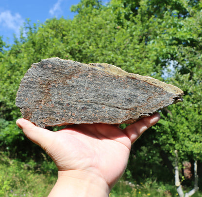 Svojanovit se staurolitem a almandinem - Supreme Panthers