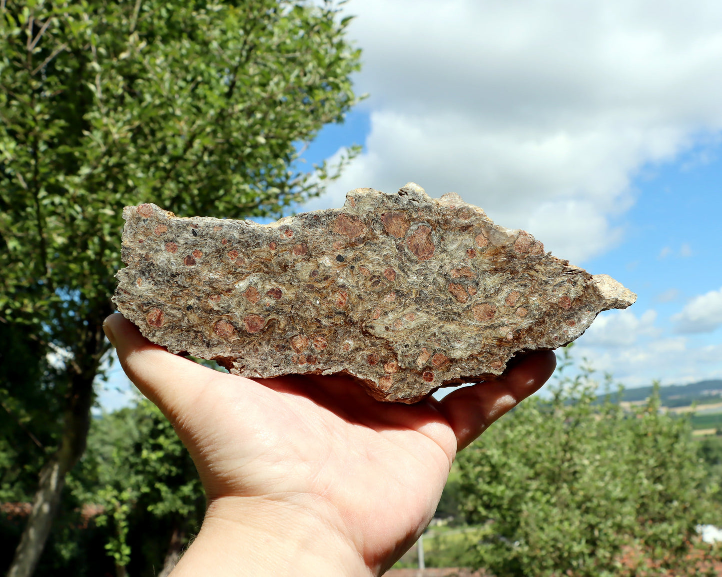 Svojanovit se staurolitem a almandinem - Supreme Panthers