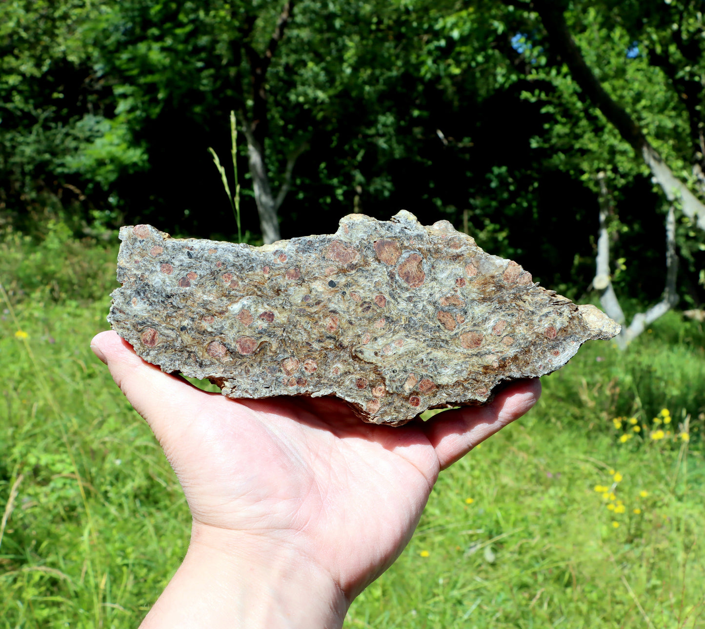 Svojanovit se staurolitem a almandinem - Supreme Panthers