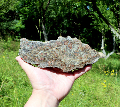 Svojanovit se staurolitem a almandinem - Supreme Panthers