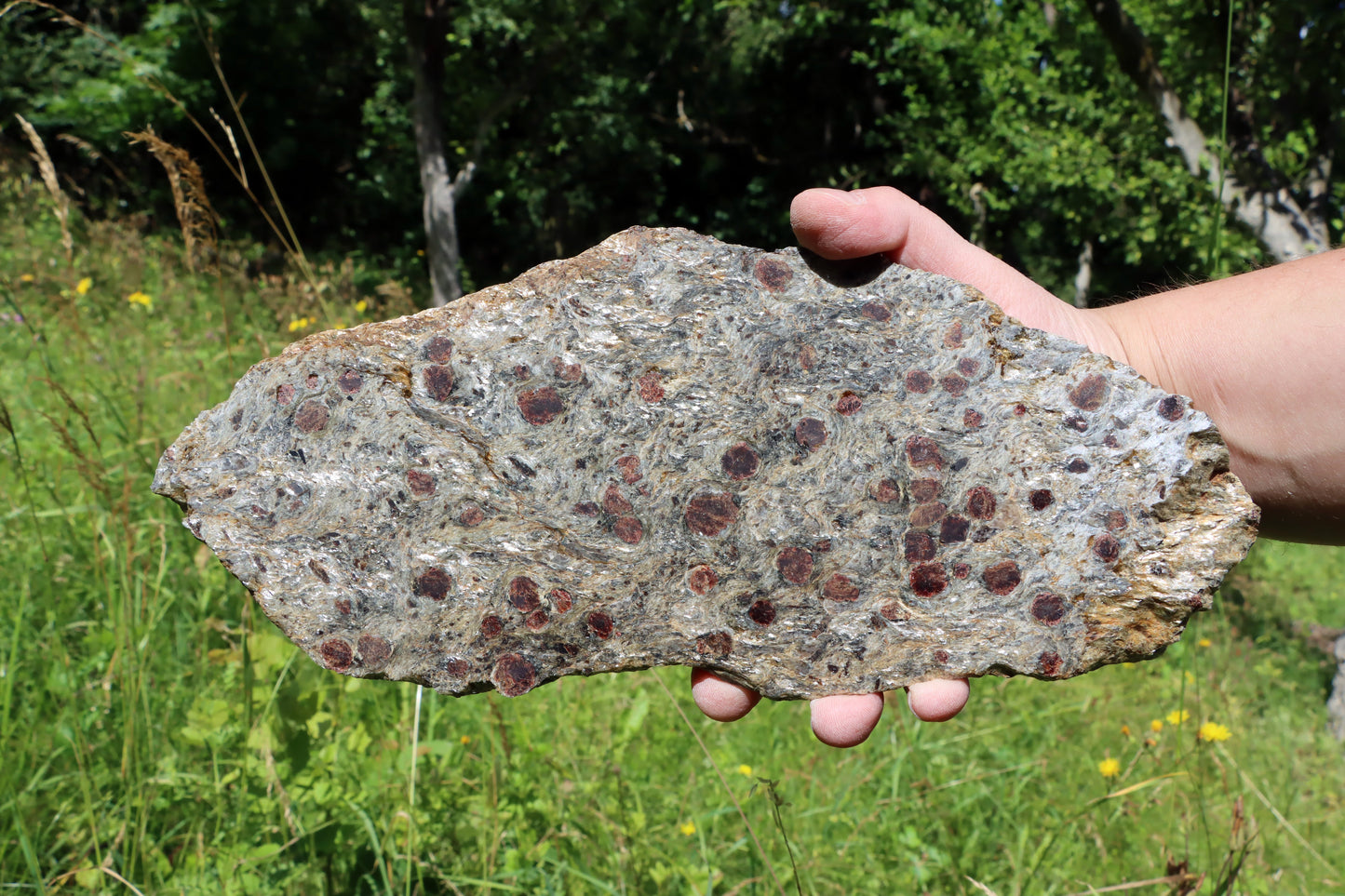 Svojanovit se staurolitem a kyanitem - Supreme Panthers