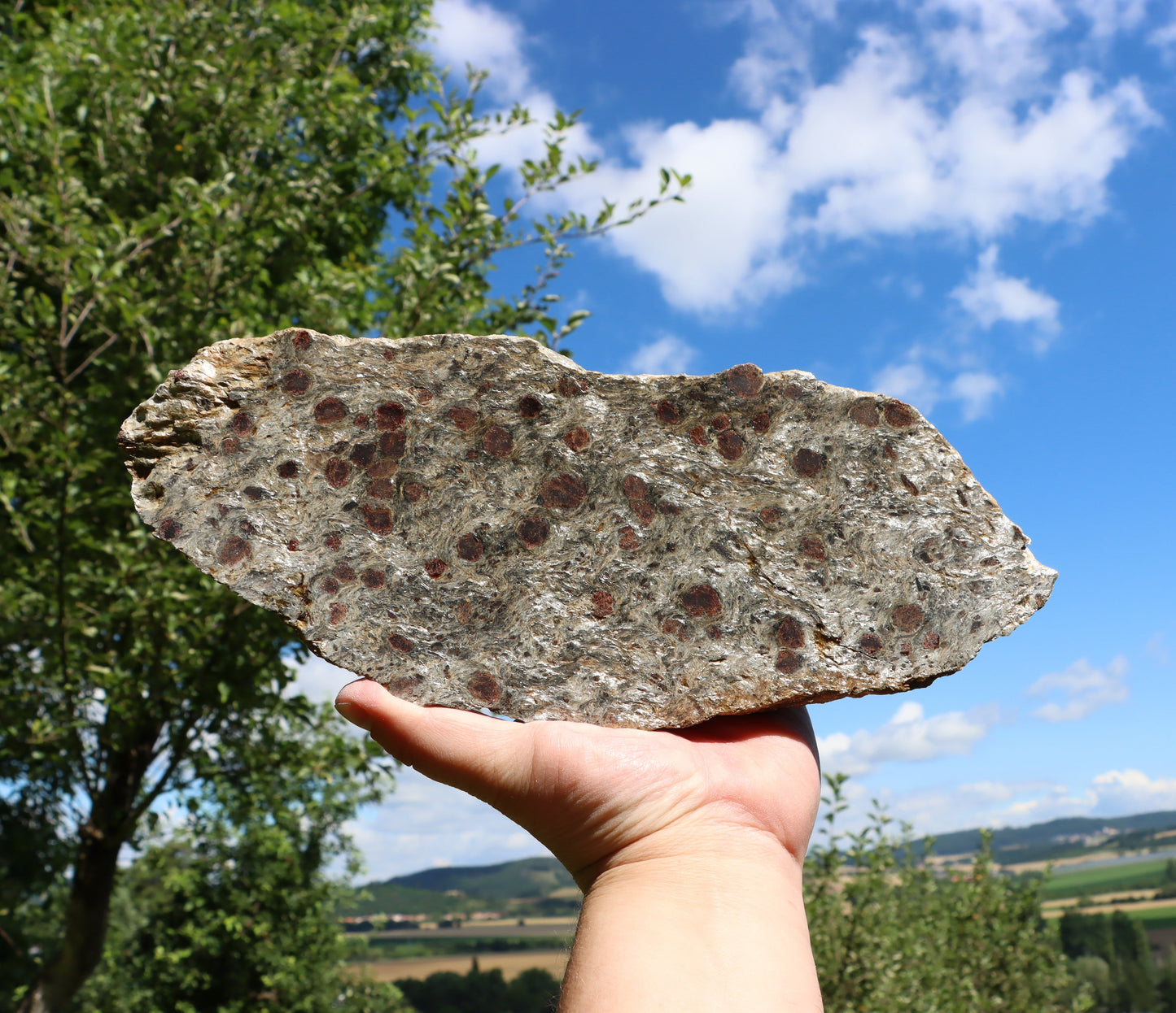 Svojanovit se staurolitem a kyanitem - Supreme Panthers