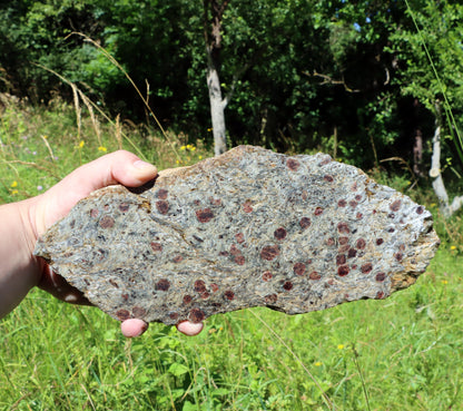 Svojanovit se staurolitem a kyanitem - Supreme Panthers