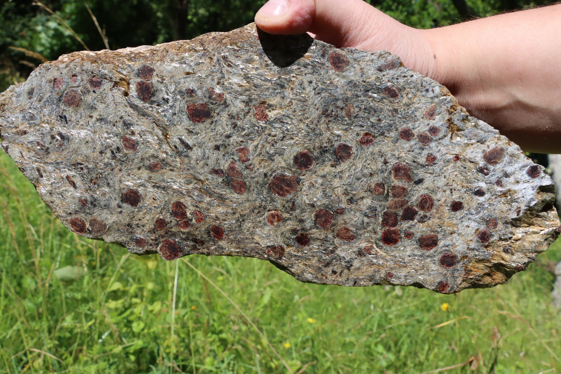 Svojanovit se staurolitem a kyanitem - Supreme Panthers