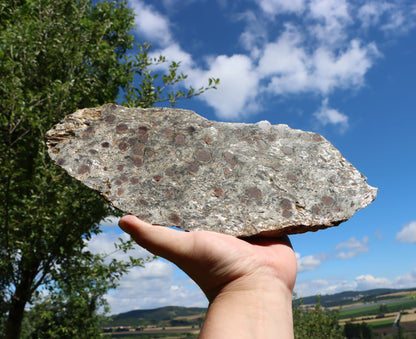 Svojanovit se staurolitem a kyanitem - Supreme Panthers