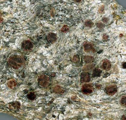 Svojanovit se staurolitem a kyanitem - Supreme Panthers