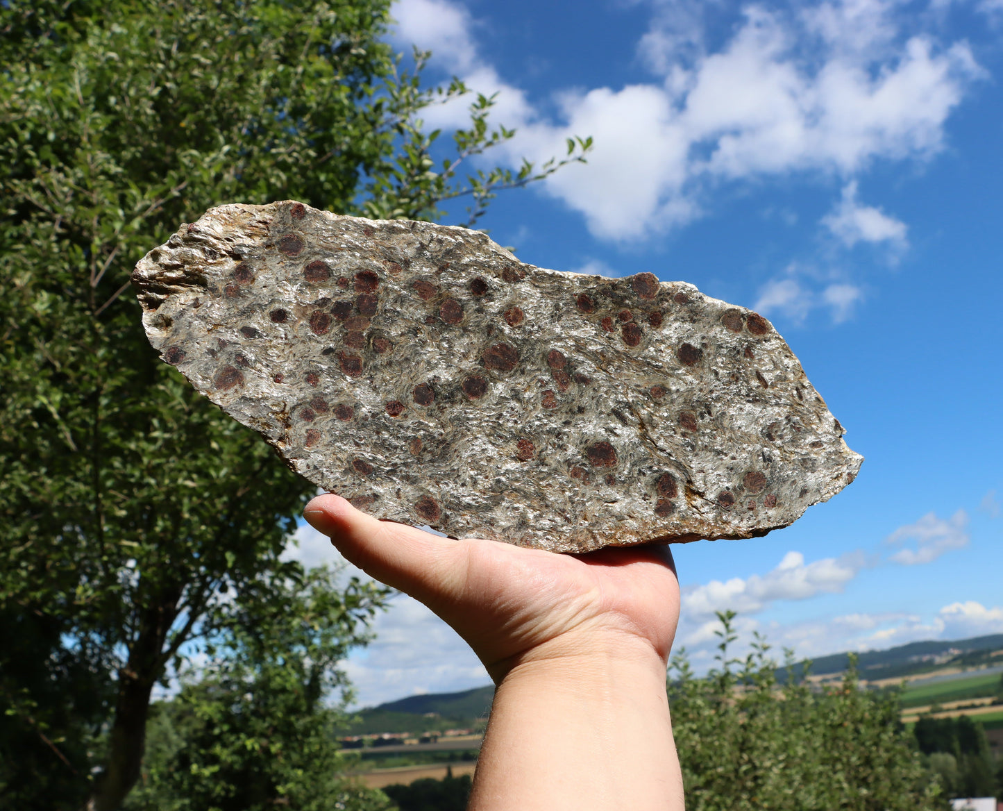 Svojanovit se staurolitem a kyanitem - Supreme Panthers