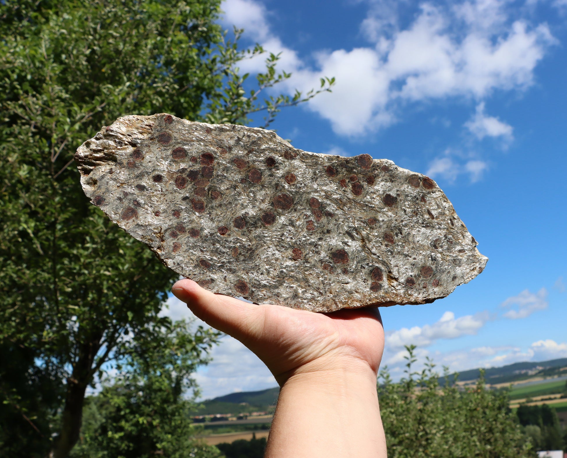 Svojanovit se staurolitem a kyanitem - Supreme Panthers