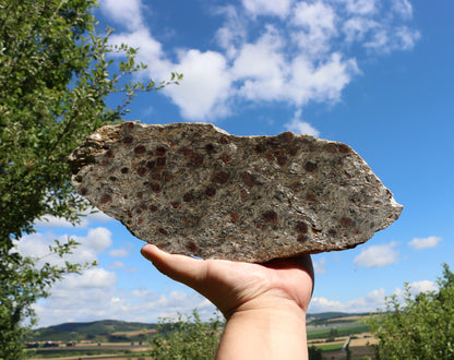 Svojanovit se staurolitem a kyanitem - Supreme Panthers