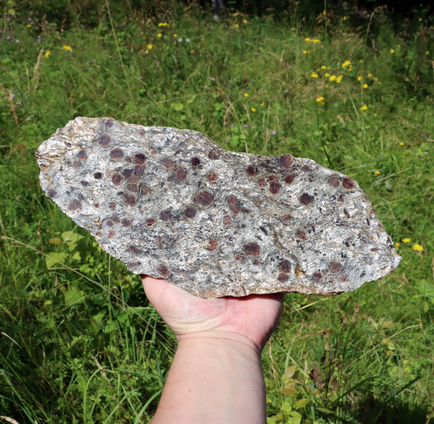 Svojanovit se staurolitem a kyanitem - Supreme Panthers