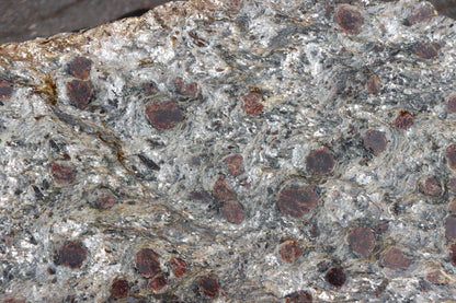 Svojanovit se staurolitem a kyanitem - Supreme Panthers