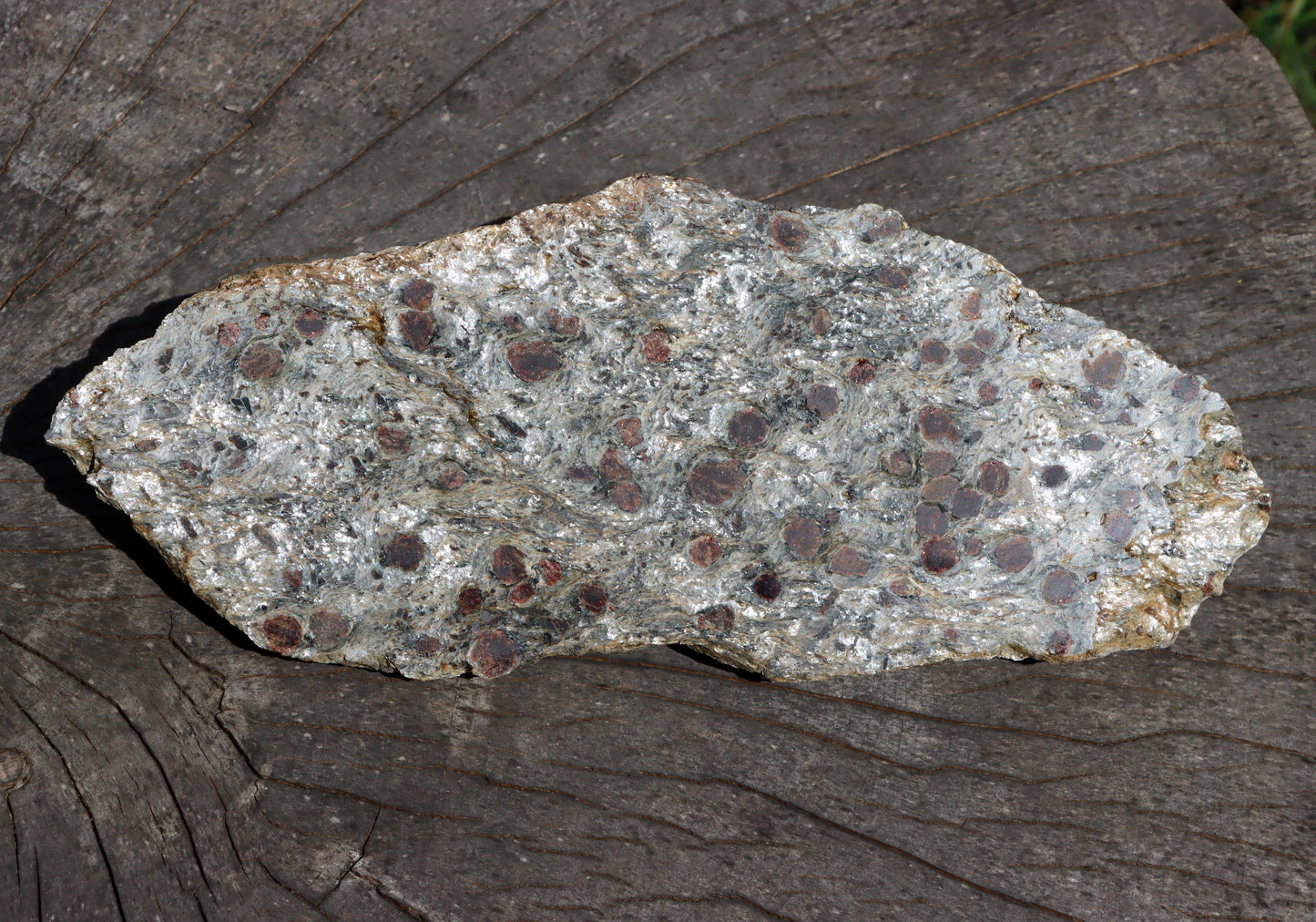 Svojanovit se staurolitem a kyanitem - Supreme Panthers