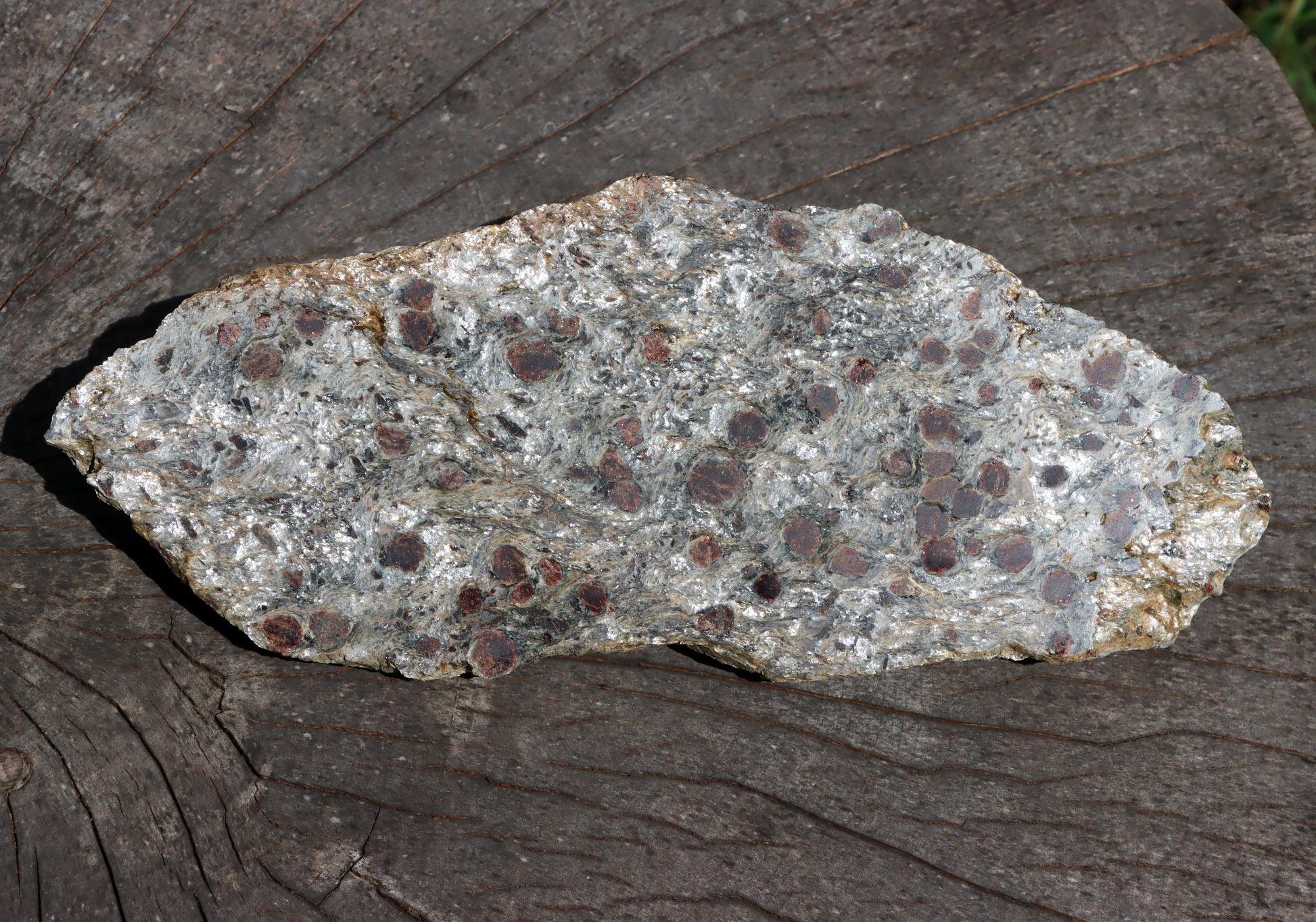 Svojanovit se staurolitem a kyanitem - Supreme Panthers