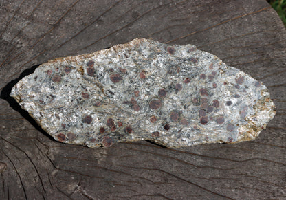 Svojanovit se staurolitem a kyanitem - Supreme Panthers