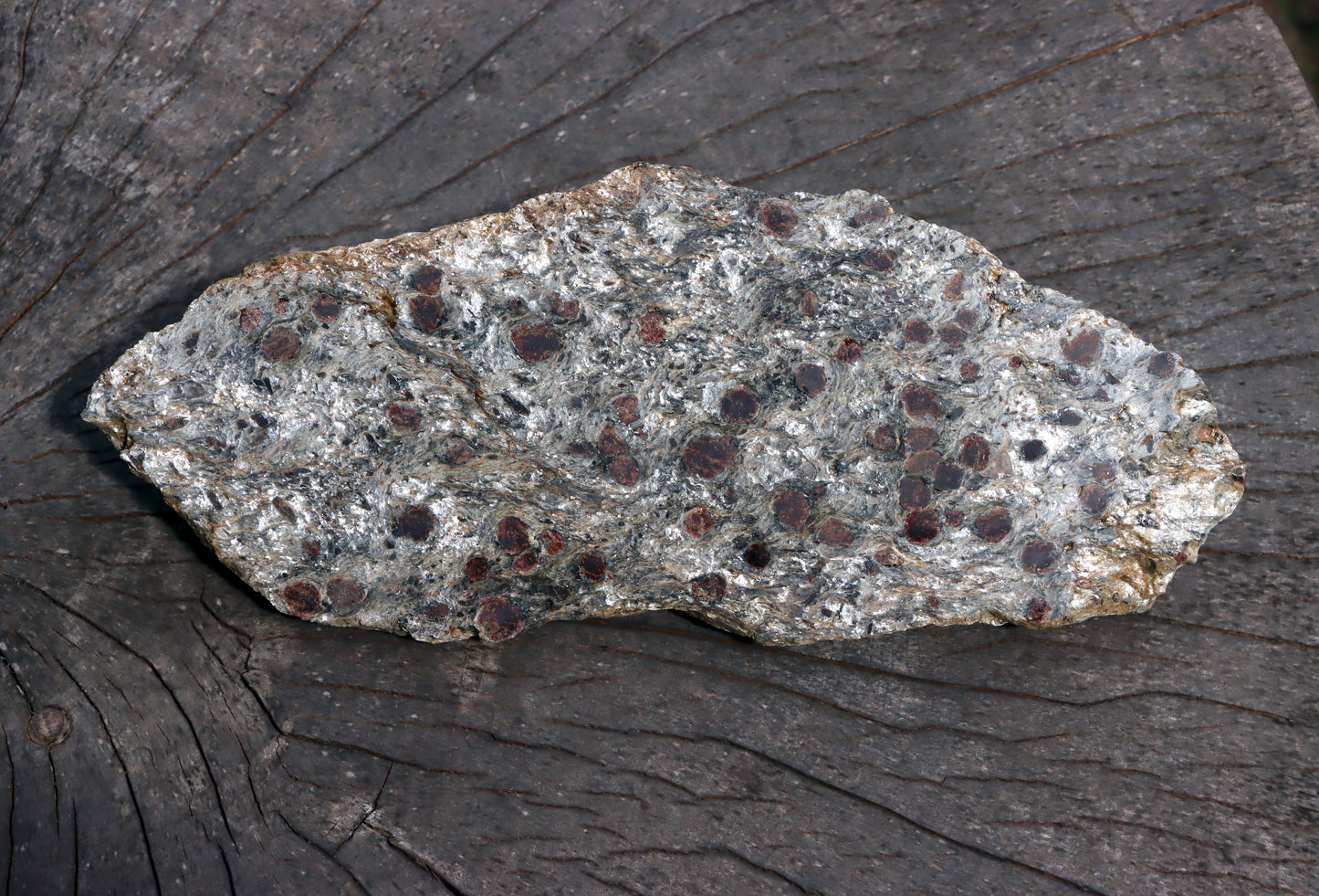 Svojanovit se staurolitem a kyanitem - Supreme Panthers