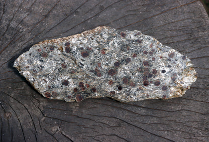 Svojanovit se staurolitem a kyanitem - Supreme Panthers