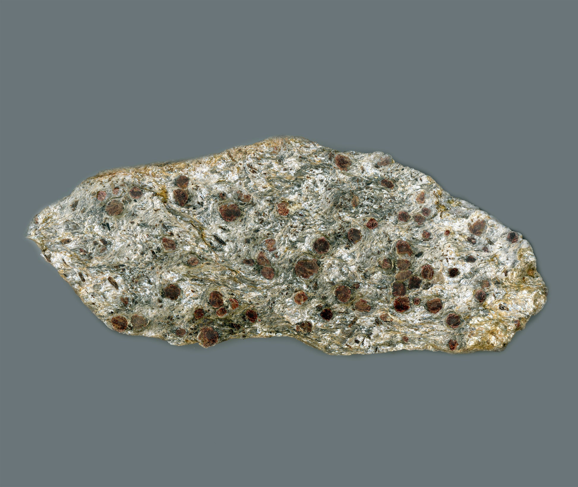 Svojanovit se staurolitem a kyanitem - Supreme Panthers