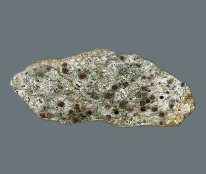 Svojanovit se staurolitem a kyanitem - Supreme Panthers