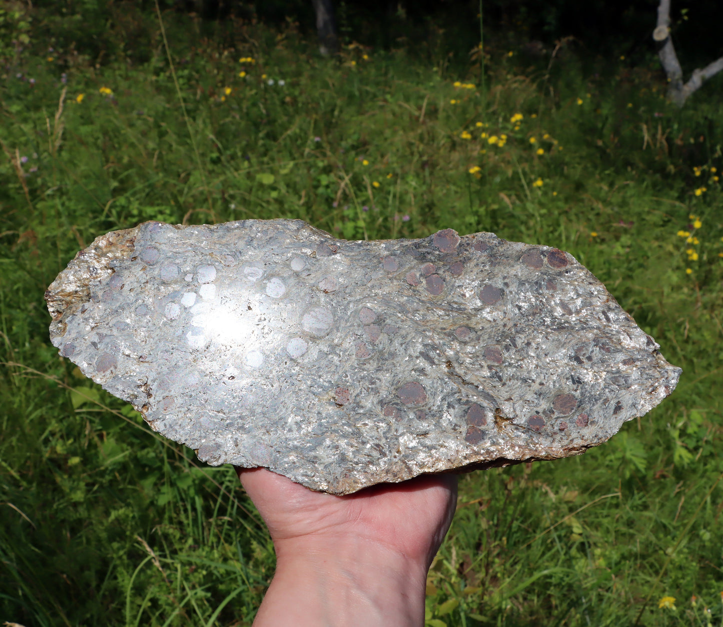 Svojanovit se staurolitem a kyanitem - Supreme Panthers