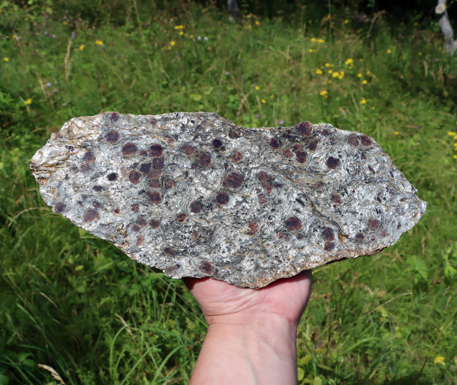 Svojanovit se staurolitem a kyanitem - Supreme Panthers