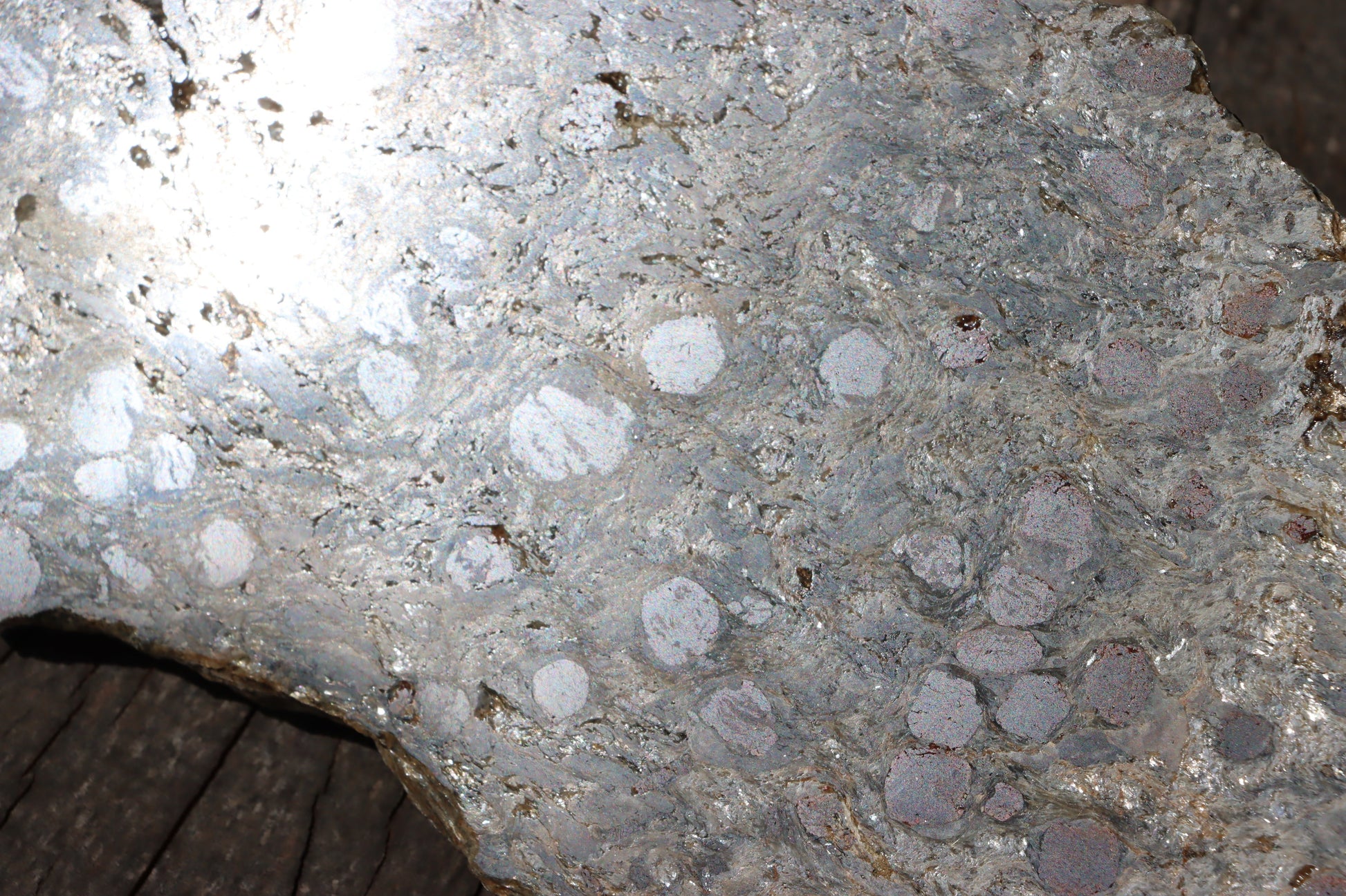 Svojanovit se staurolitem a kyanitem - Supreme Panthers