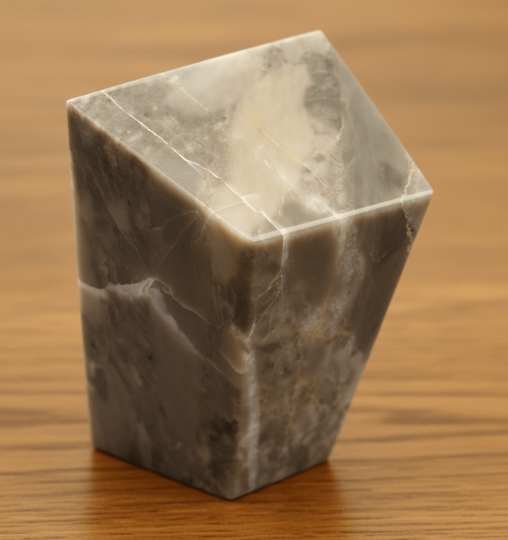 Těžítko z korálů a stromatopor ve vápenci - Supreme Panthers