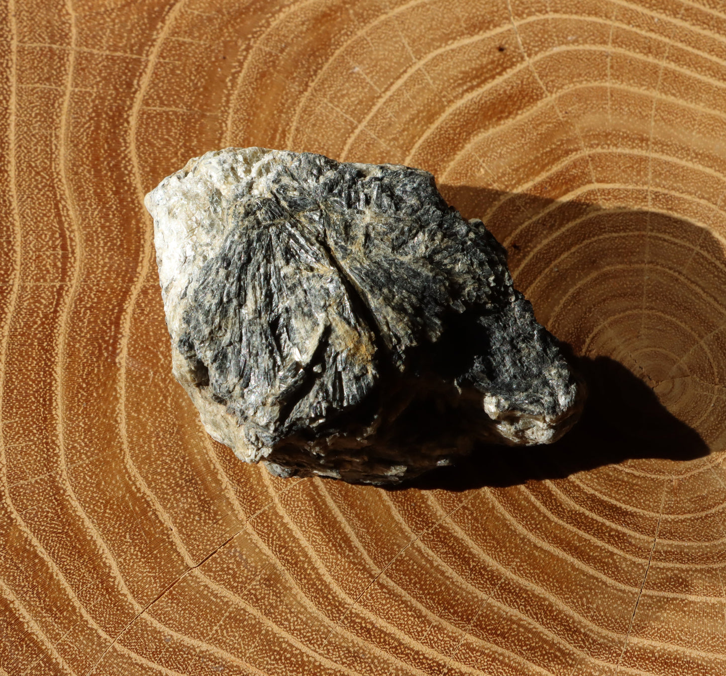 Tremolit moravský - Supreme Panthers