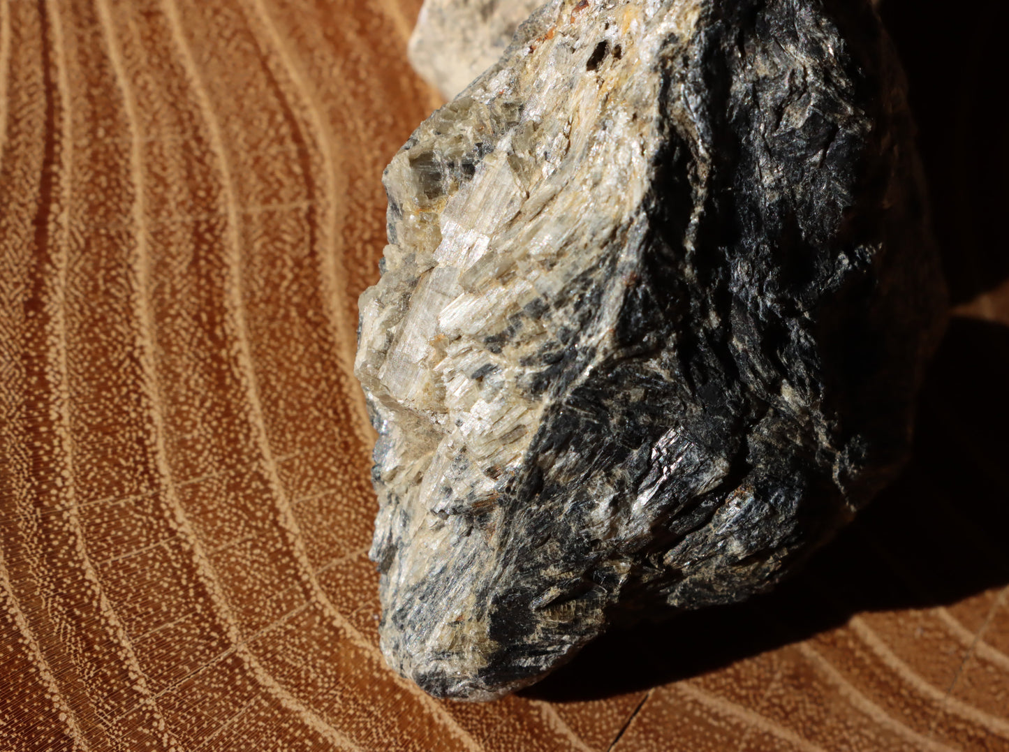 Tremolit moravský - Supreme Panthers