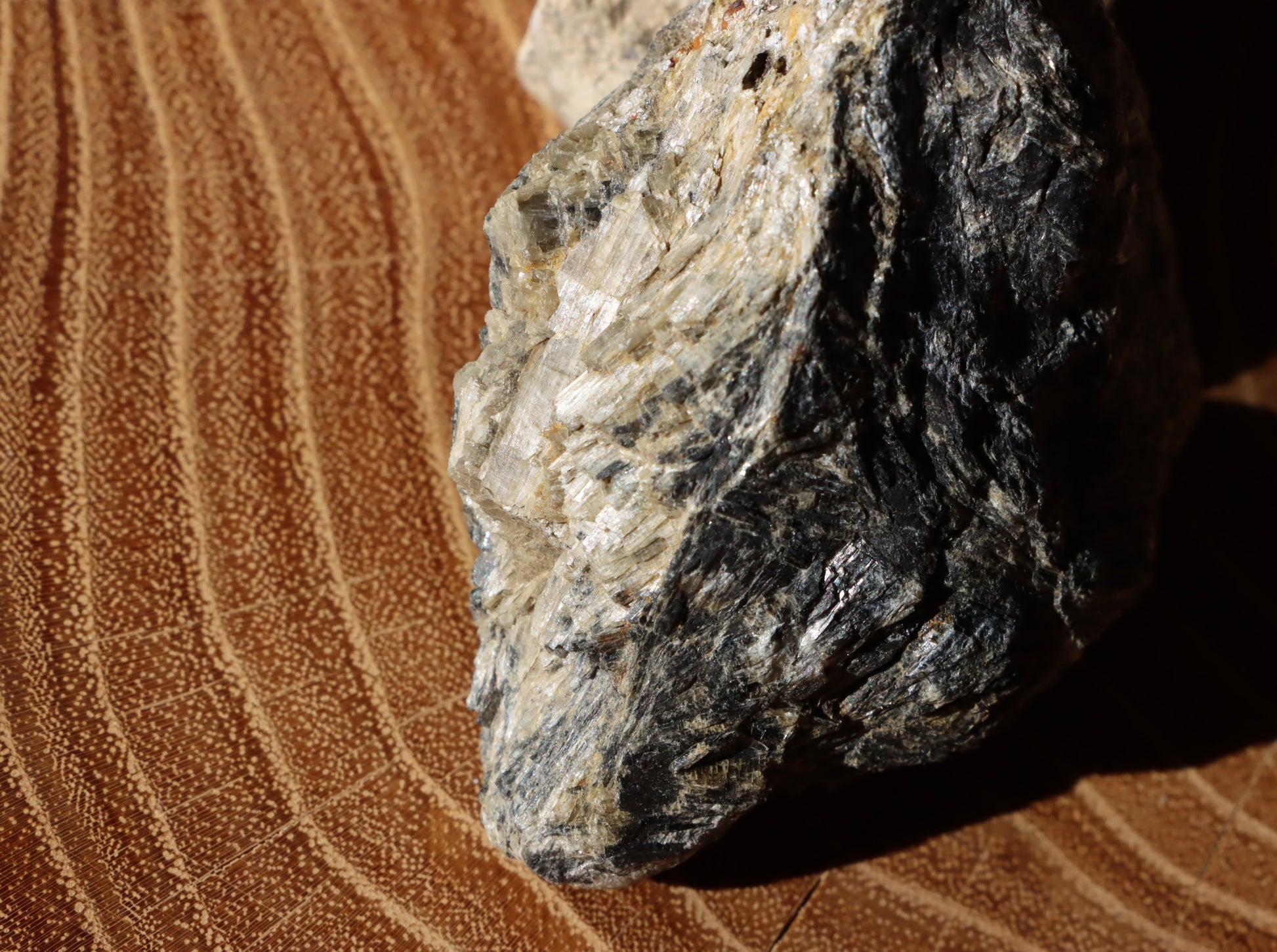 Tremolit moravský - Supreme Panthers