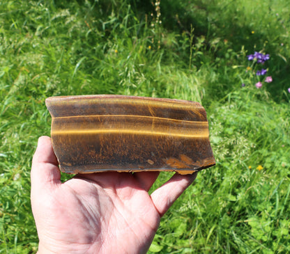 Tygří oko leštěné - Supreme Panthers