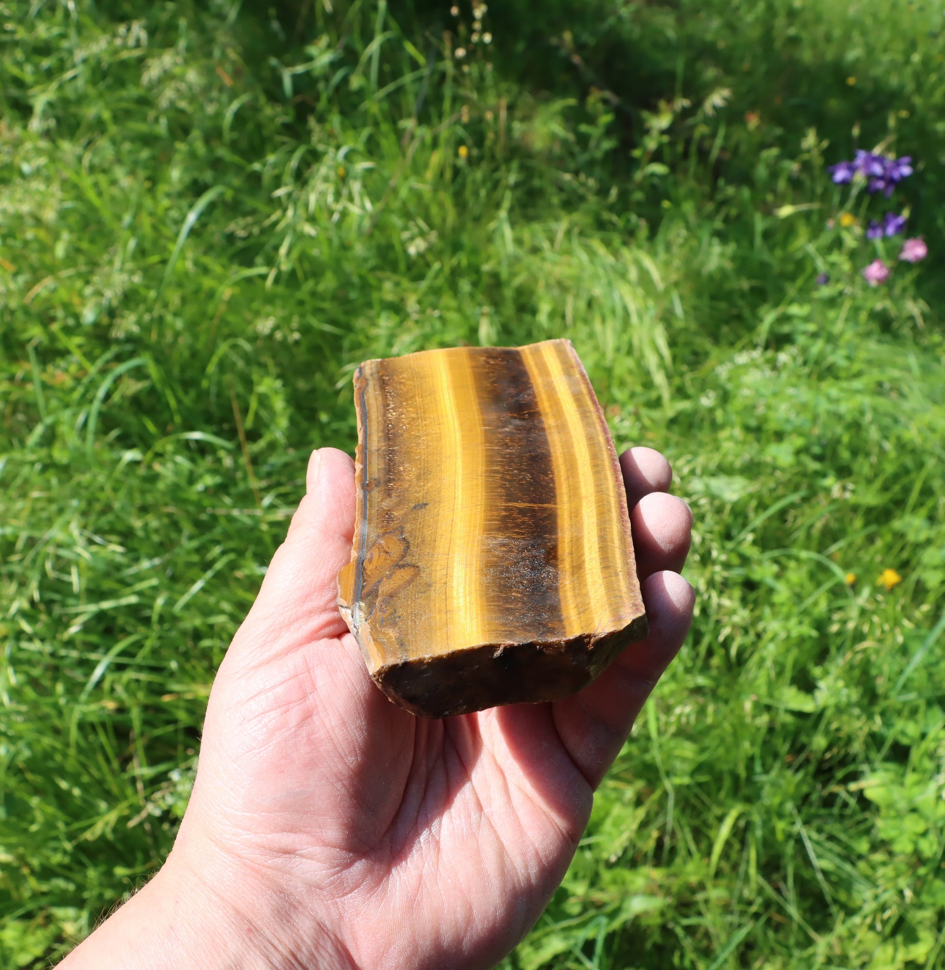 Tygří oko leštěné - Supreme Panthers