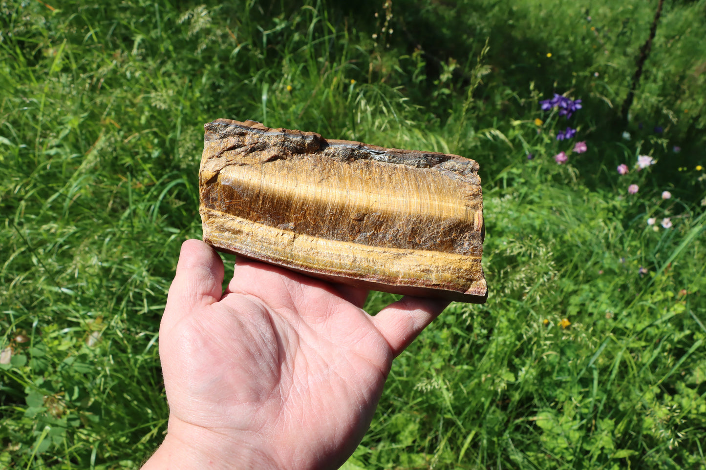 Tygří oko leštěné - Supreme Panthers