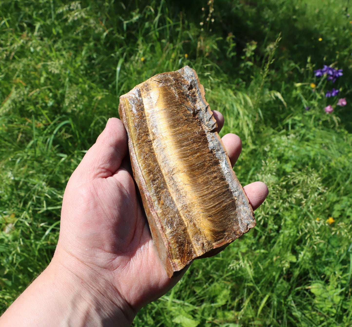 Tygří oko leštěné - Supreme Panthers