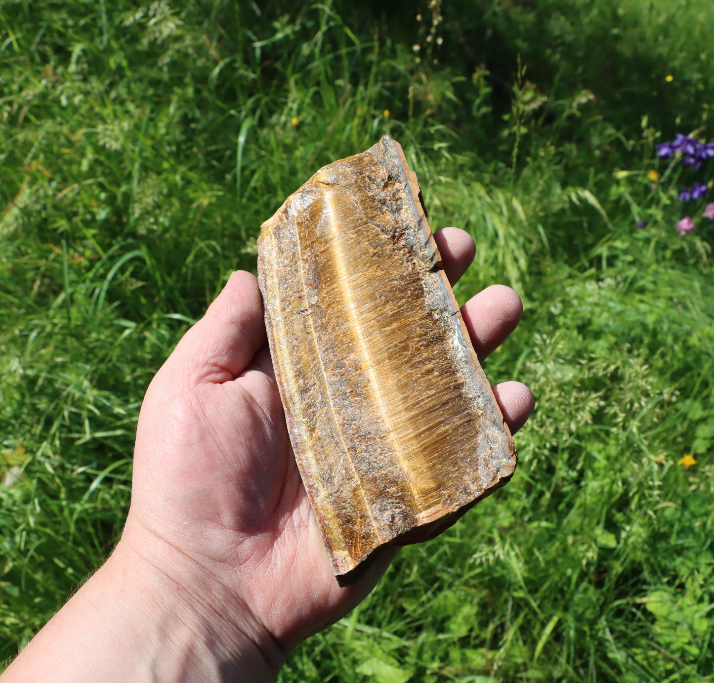 Tygří oko leštěné - Supreme Panthers