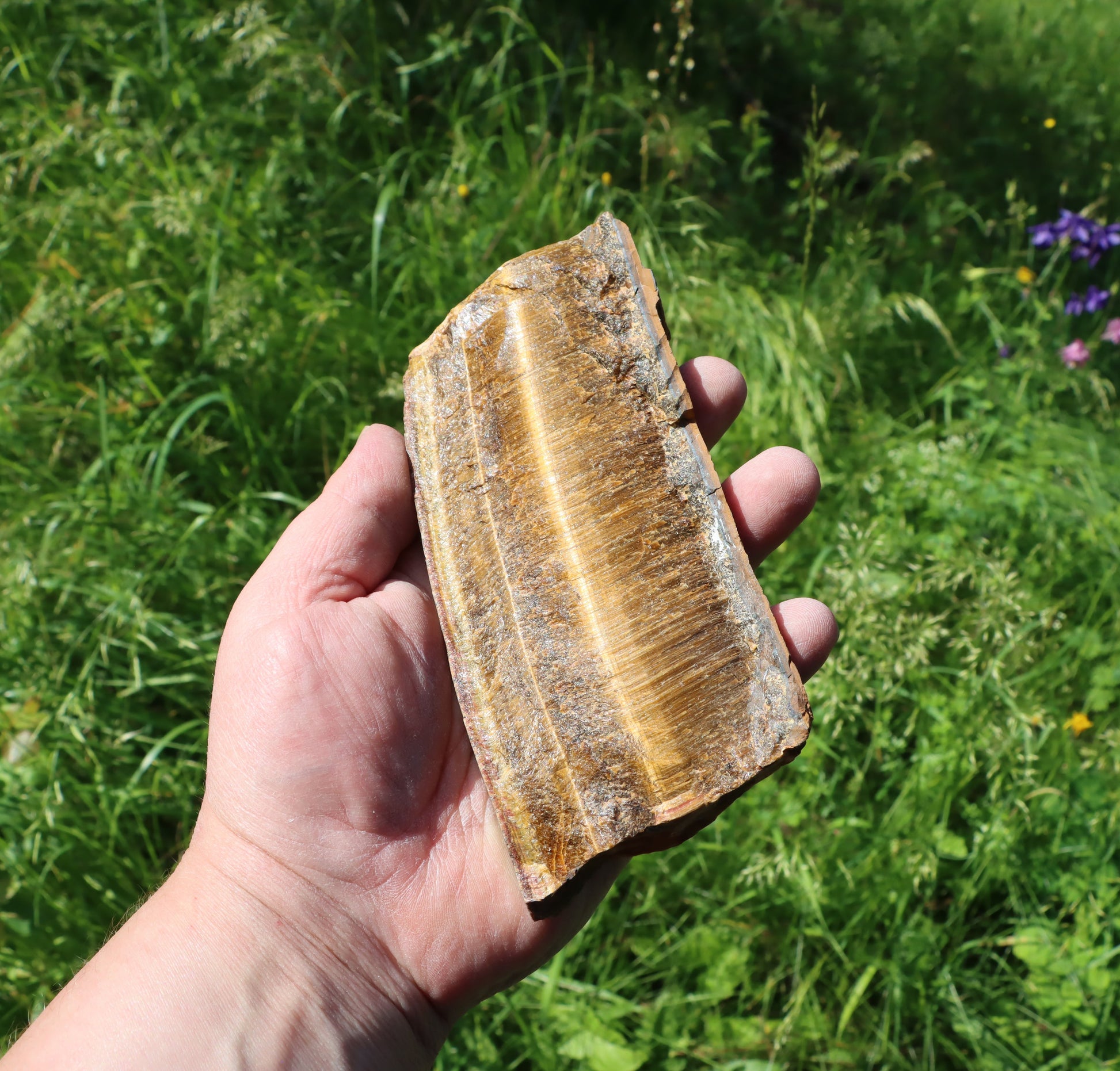 Tygří oko leštěné - Supreme Panthers