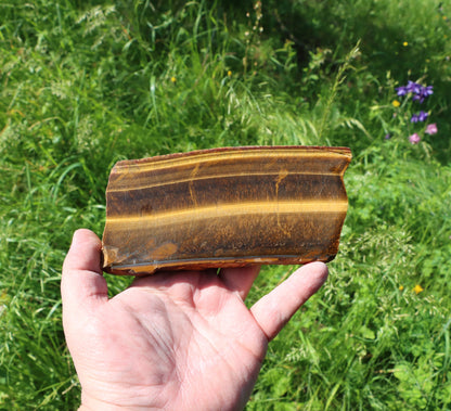 Tygří oko leštěné - Supreme Panthers