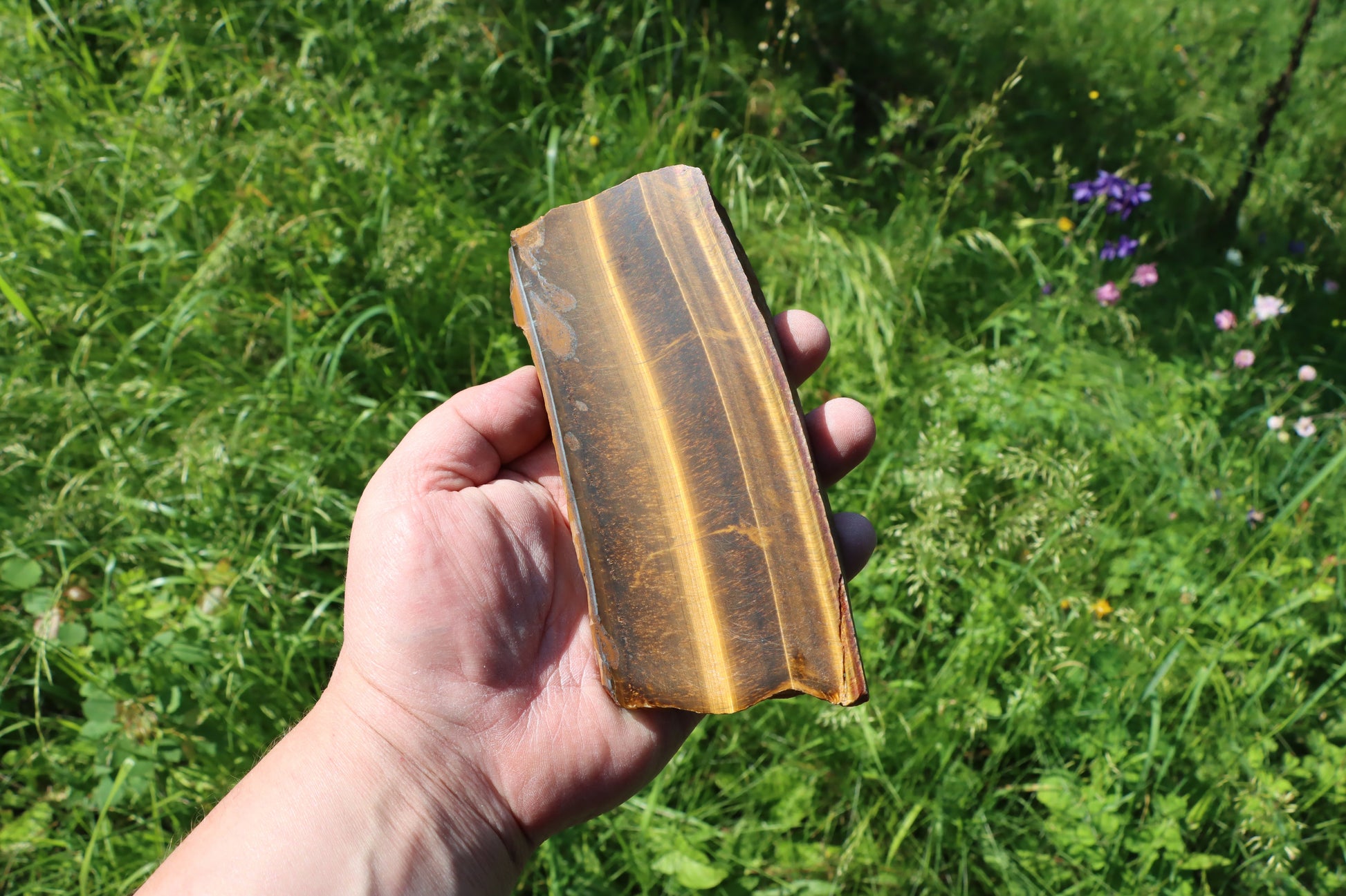 Tygří oko leštěné - Supreme Panthers