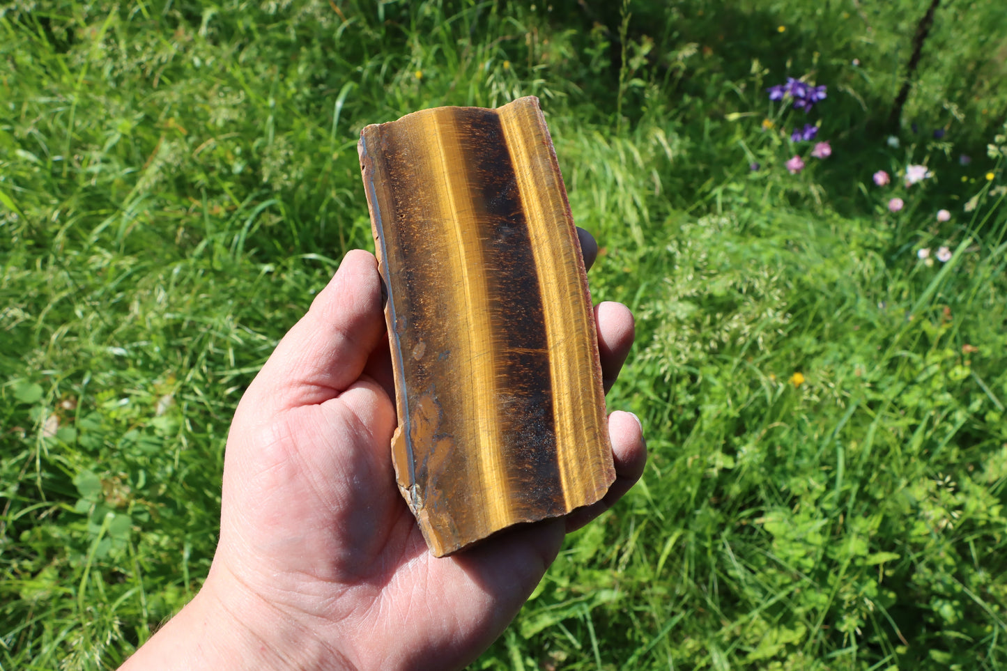 Tygří oko leštěné - Supreme Panthers