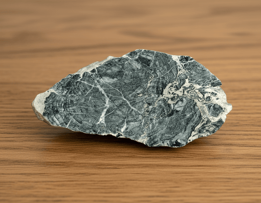 Vápenec deskatý korál - Supreme Panthers