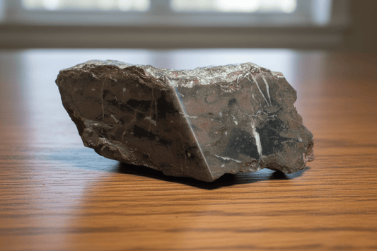 Vápenec se zbytky zkamenělin, leštěný - Supreme Panthers