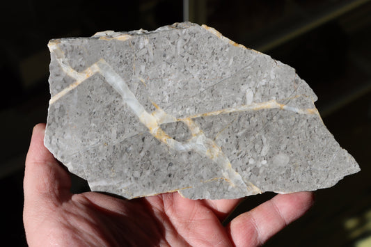 Větevnaté stromatopory ve vápenci - Supreme Panthers