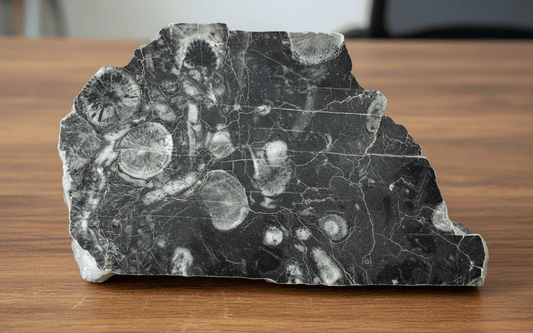 Vilémovický vápenec s drsnatými korály - Supreme Panthers