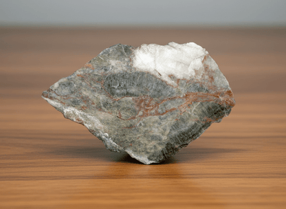 Vilémovický vápenec s neptunickou žilou - Supreme Panthers