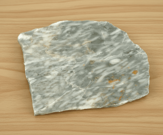 Vilémovický vápenec s rekrystalizovanou stromatoporou rodu Amphipora - Supreme Panthers