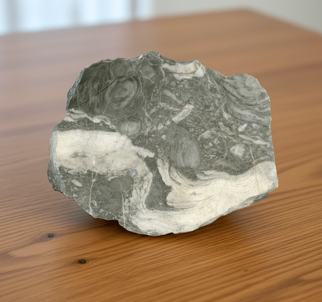 Vilémovický vápenec s různými rody stromatopor - Supreme Panthers