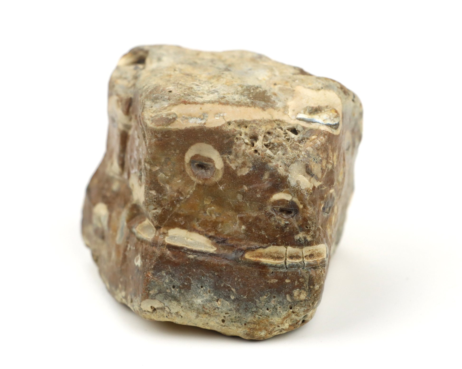 Vrtby krevet Thalassinoides v jurském rohovci - Supreme Panthers