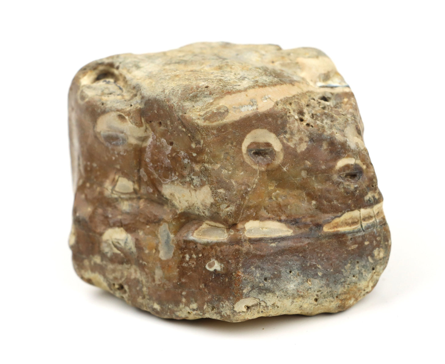 Vrtby krevet Thalassinoides v jurském rohovci - Supreme Panthers