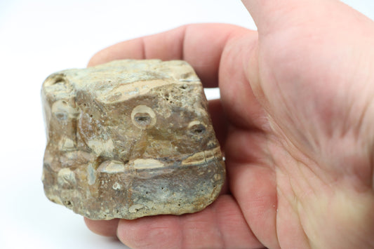 Vrtby krevet Thalassinoides v jurském rohovci - Supreme Panthers